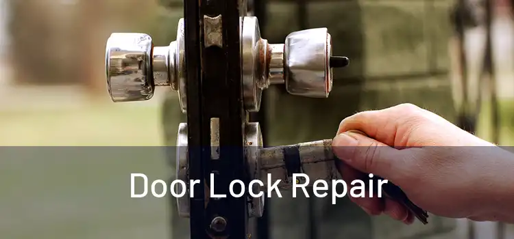  Door Lock Repair 